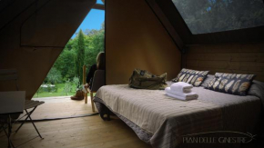 Glamping Pian delle Ginestre Sassetta